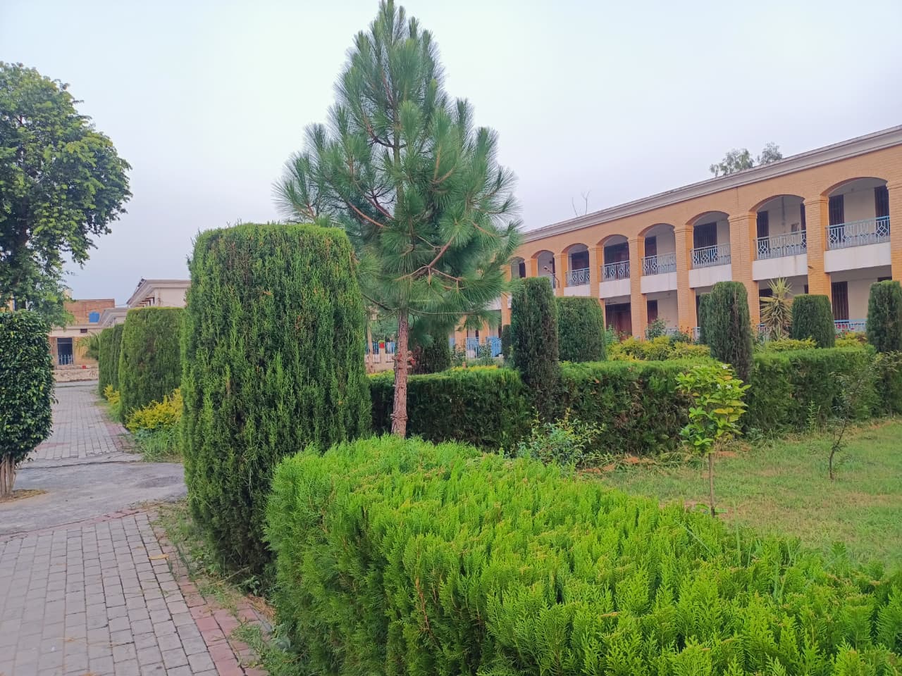 College gardens and walkways