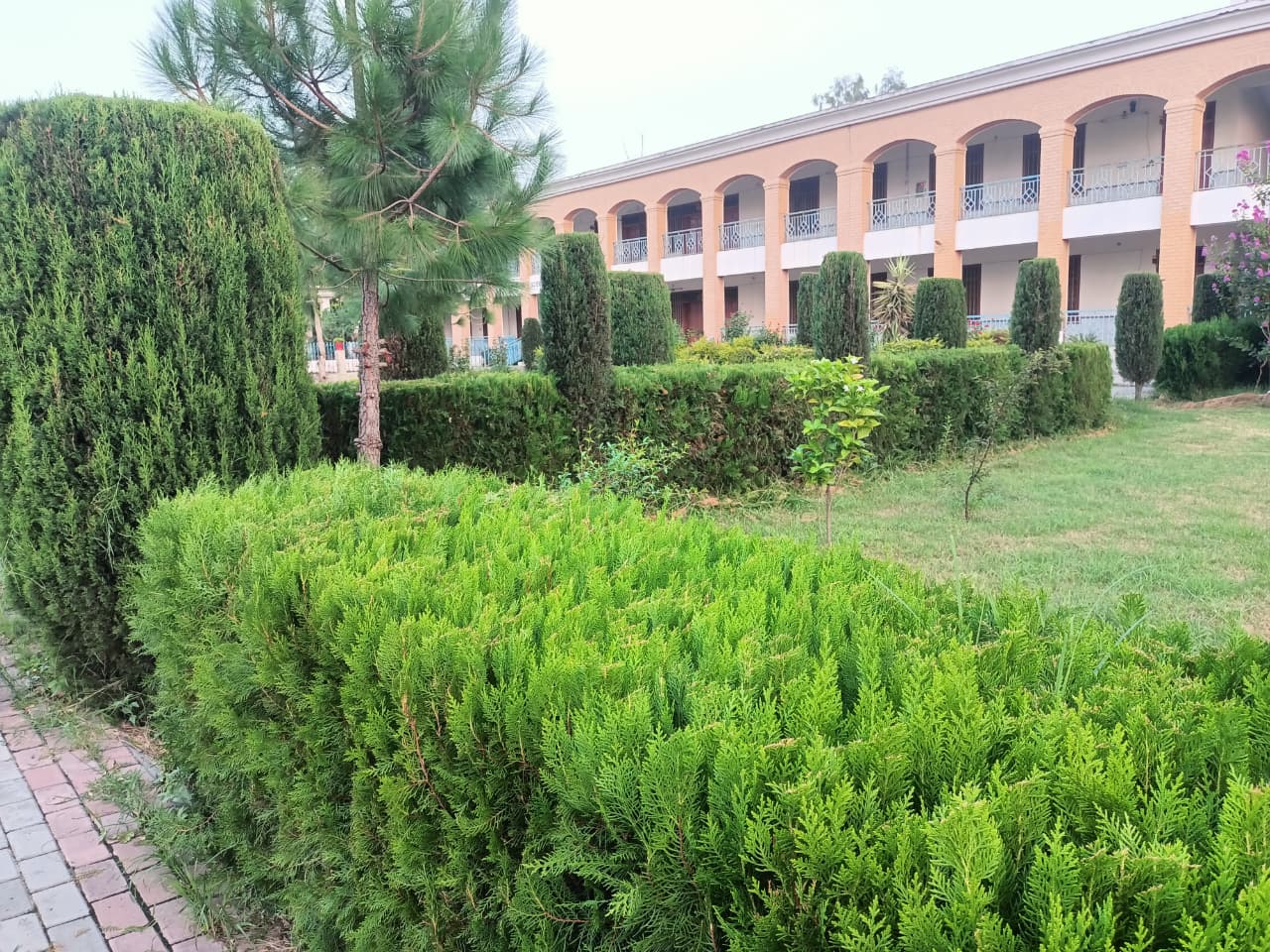GDC No. 2 Mardan campus