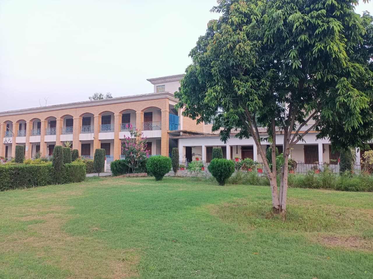 GDC No. 2 Mardan campus
