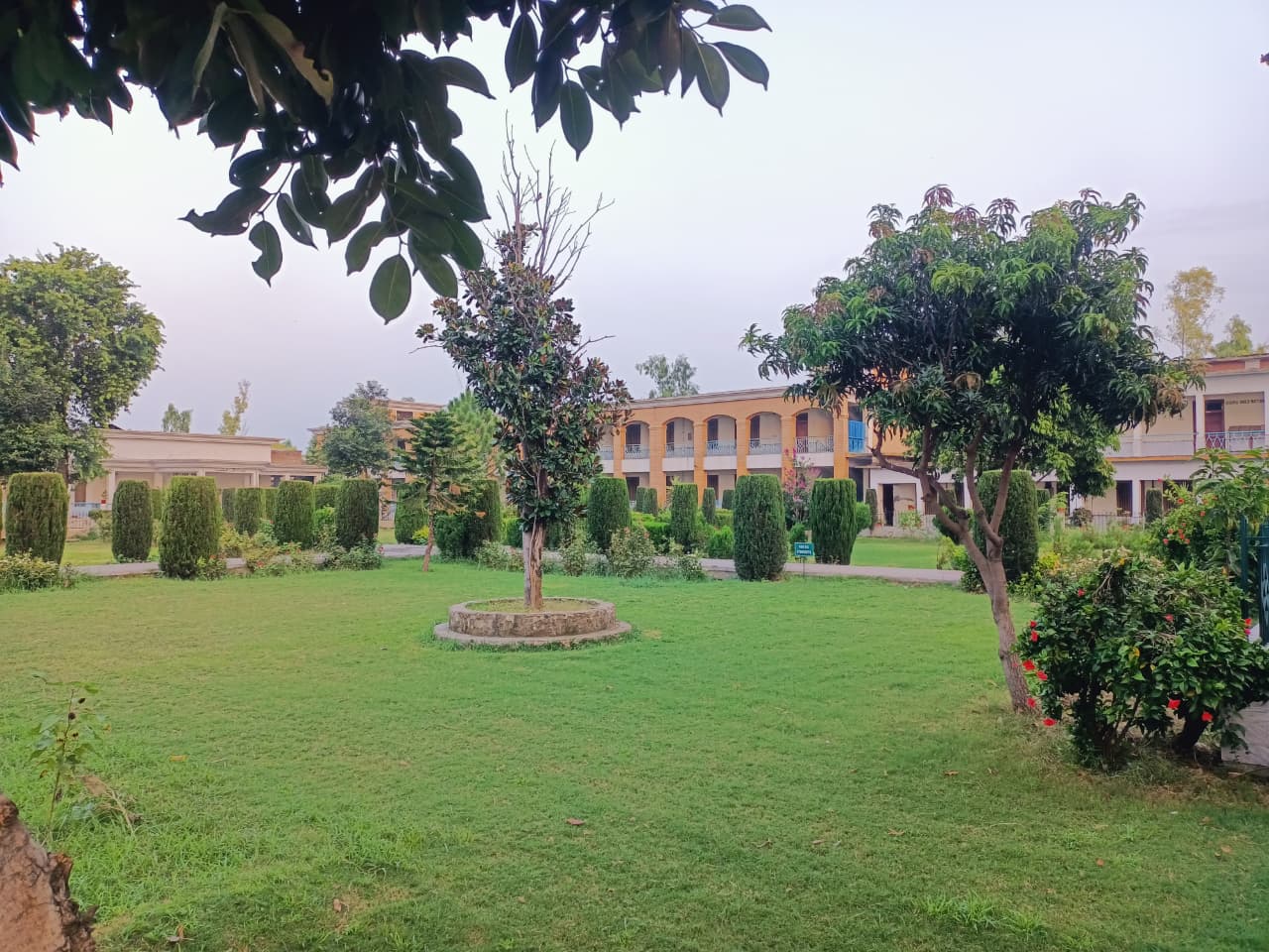 GDC No. 2 Mardan campus