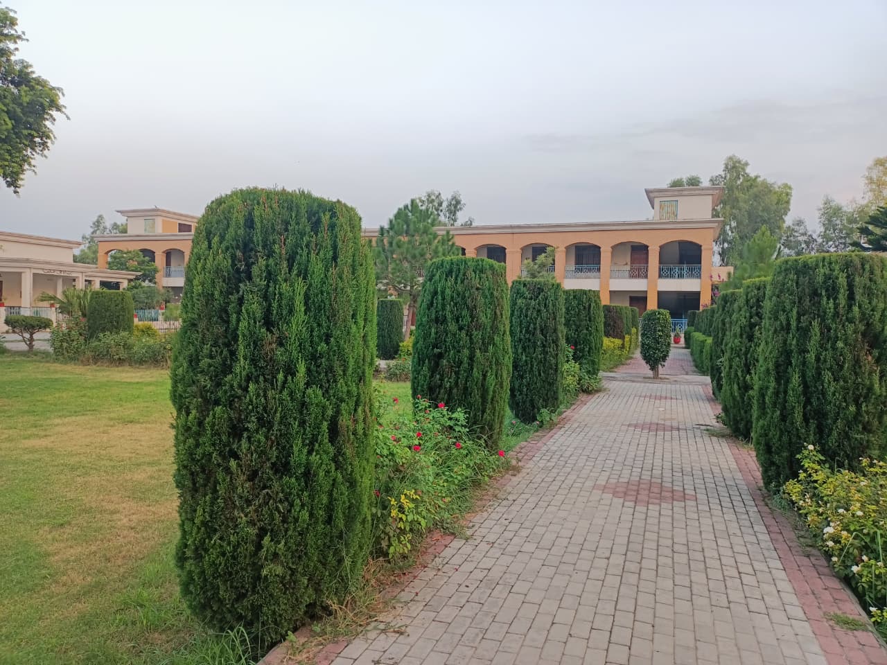 GDC No. 2 Mardan campus