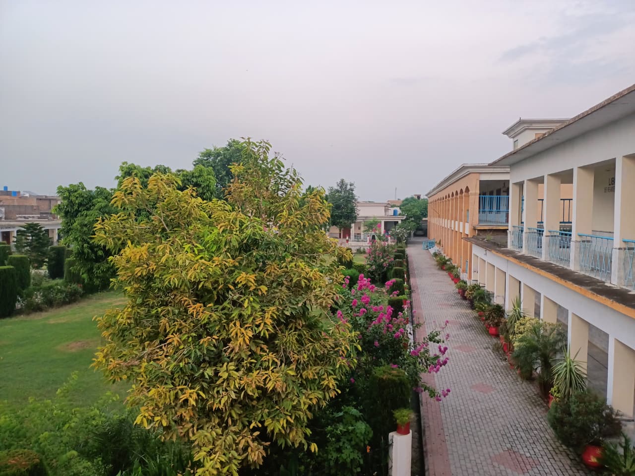 GDC No. 2 Mardan campus